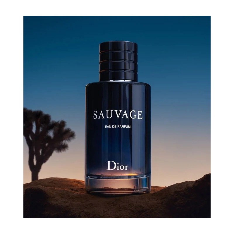 Sauvage Dior Sauvage Dior