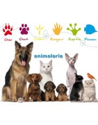 Animalerie - Anne-Sophie