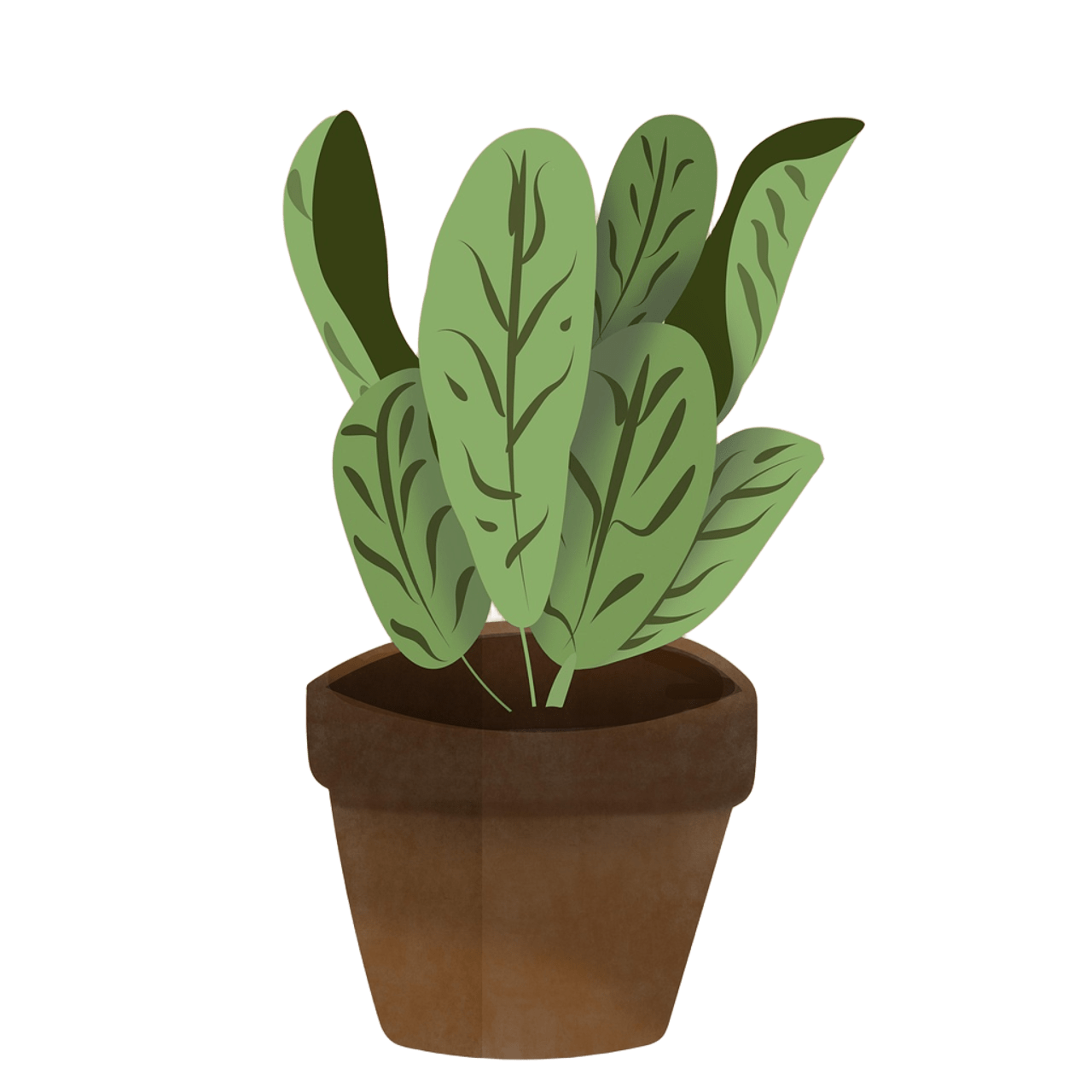 plante